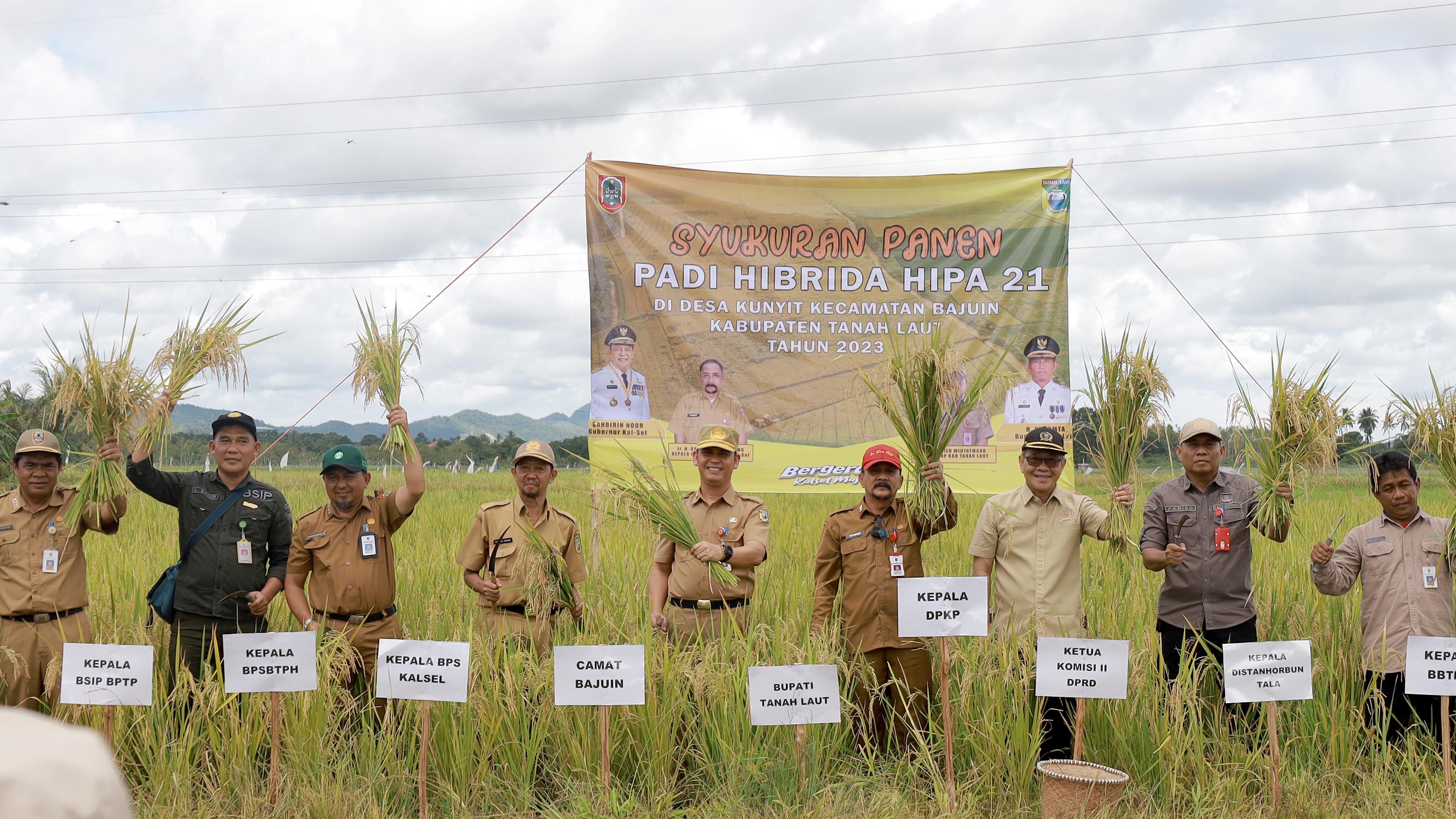 Hasil Panen Padi Petani Lokal Tambah Perputaran Ekonomi Tala