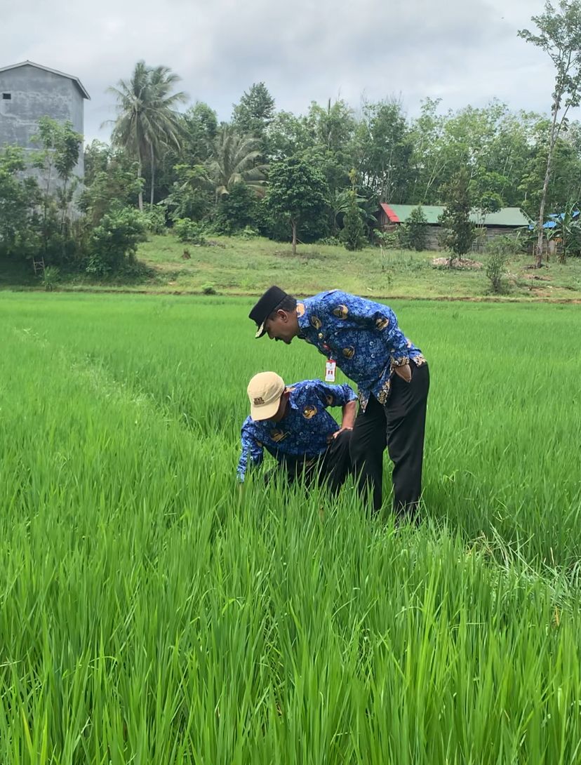 Kunjungi Bumi Jaya, Syamsir Rahman Ingatkan Ini ke Petani