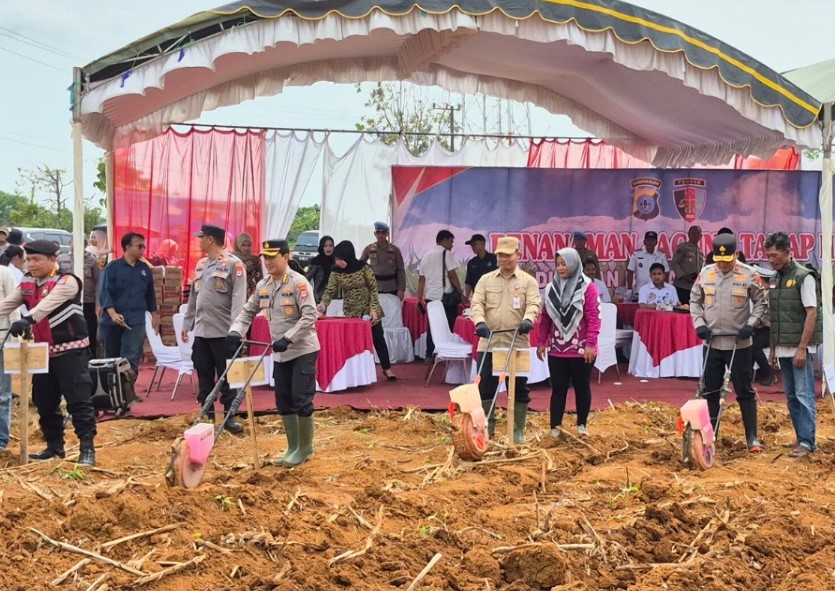 Tala Kendalikan Inflasi melalui Perluasan Tanam Jagung