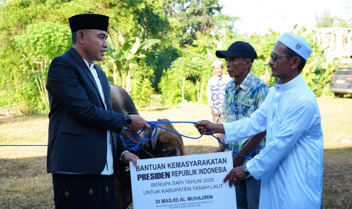Bupati Tanah Laut Sholat Idul Adha dan Serahkan Sapi Bantuan Presiden RI
