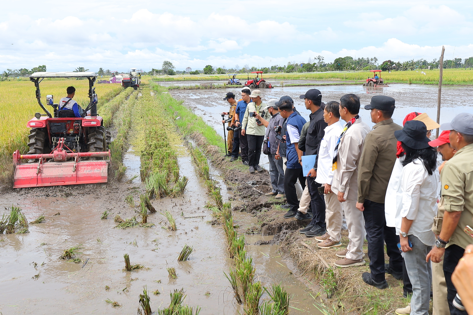 Mentan Andi Amran Sulaiman Tinjau Panen Raya di Tanah Laut, Dorong Percepatan Optimasi Lahan Rawa