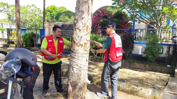 Ketua Pelaksana HLHS Tala Apresiasi Kepedulian PMI Bersihkan Pohon