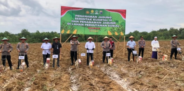 Wabup Tala Hadiri Penanaman Jagung Serentak Kuartal III