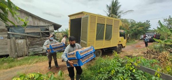 BANTUAN BIBIT ITIK UNTUK PETERNAK