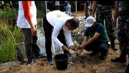 TANAM POHON, SELAMATKAN LINGKUNGAN DEMI ANAK CUCU KITA