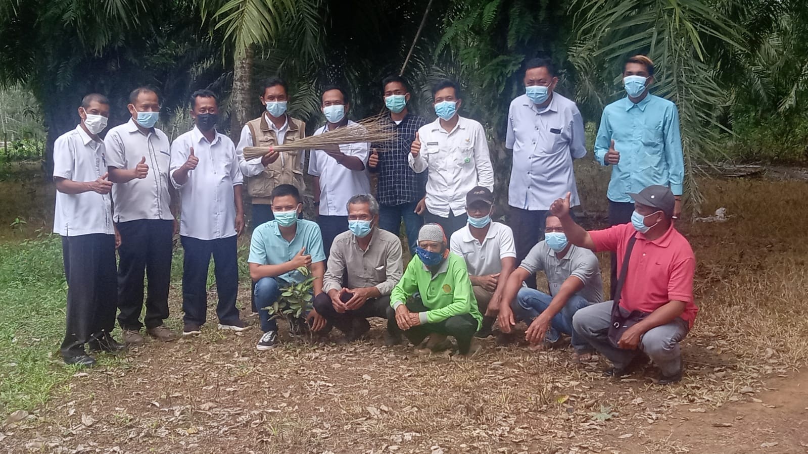 BAGIAN DARI POHON SAWIT INI TERNYATA PUNYA NILAI JUAL