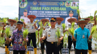 Staf Ahli Resmikan Penanaman Padi Perdana di Lahan CSR Rutan Pelaihari