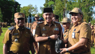 Bibit Pohon Ulin Diserahkan untuk Dukung Program Tanah Laut Lestari