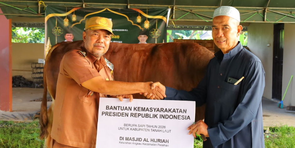 Pemkab Tala Serahkan Sapi Limosin Dari Presiden RI Untuk Masjid Al-Hijriyah